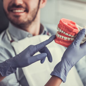 Dentist holding a fake jaw and explaining it to smiling patient seated in dental chair